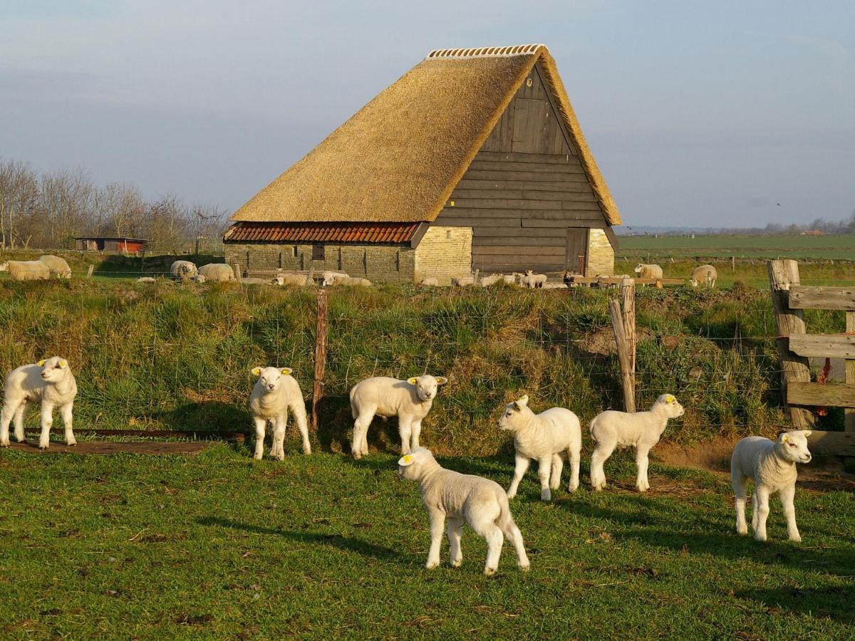 Fantastic Bungalow On Texel De Cocksdorp  Extérieur photo